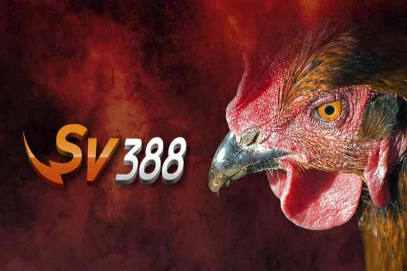 SV388 là nhà cái đá gà uy tín và chuyên nghiệp